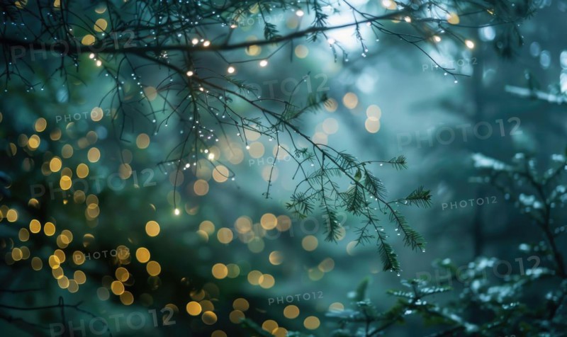 Ethereal bokeh lights diffusing through mist in a mystical woodland, nature background AI generated