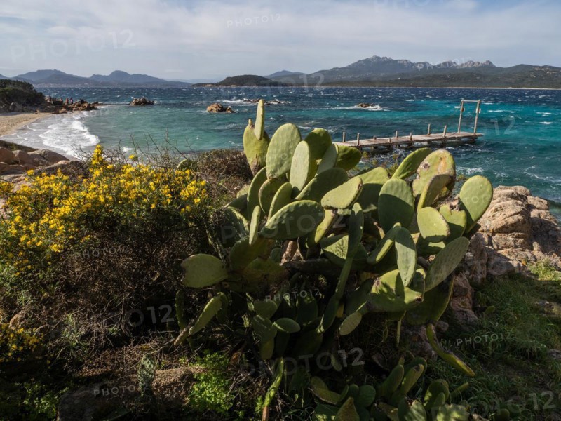 Jetty leading into the sea, Capriccioli beach, Costa Smeralda, Sardinia, Italy, Europe