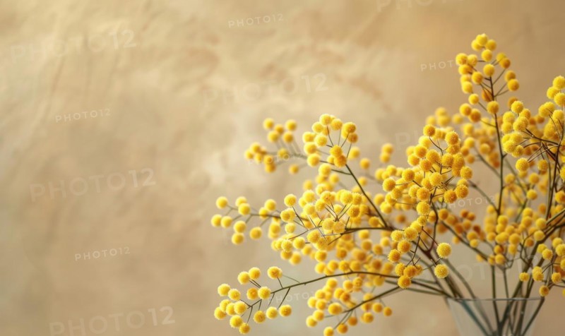A detailed shot of Mimosa stems arranged in a vase AI generated