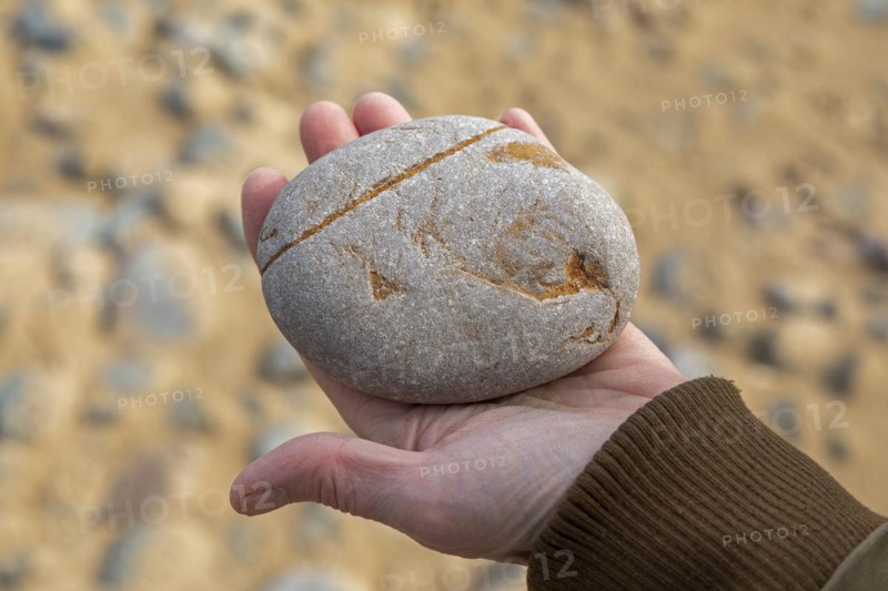 Woman holding stone in hand, beach, LLanddwyn Bay, Newborough, Isle of Anglesey, Wales, Great Britain