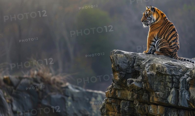 A Malayan tiger perched on a rocky ledge AI generated