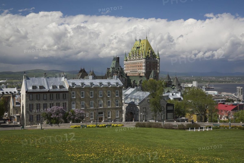 Old historic residential architectural buidings along ave. Saint-Denis and Chateau Frontenac plus sloped green grass field with yellow Taraxacum officinale, Dandelion flowers in late spring, Upper Town, Old Quebec City, Quebec, Canada, North America