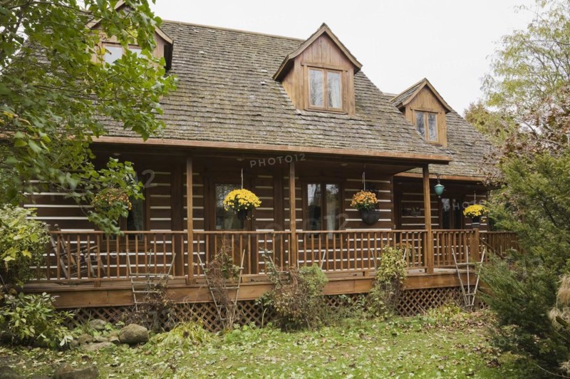 Rustic white chinked two story log home with long veranda and cedar shingles roof covered with green moss plus landscaped front yard with mixed deciduous trees and perennial shrubs in autumn, Quebec, Canada, North America