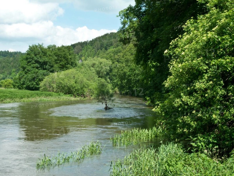Ford of the Danube seepage point at high water level, Immendingen, Tuttlingen district, Baden-Wuerttemberg, Germany, Europe