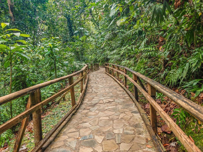 Jardin Botaniqu de Deshaies, botanical garden with flora and fauna in Guadeloupe, Caribbean, French Antilles