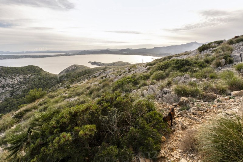 Amazing landscape of Formentor, Mallorca in Spain