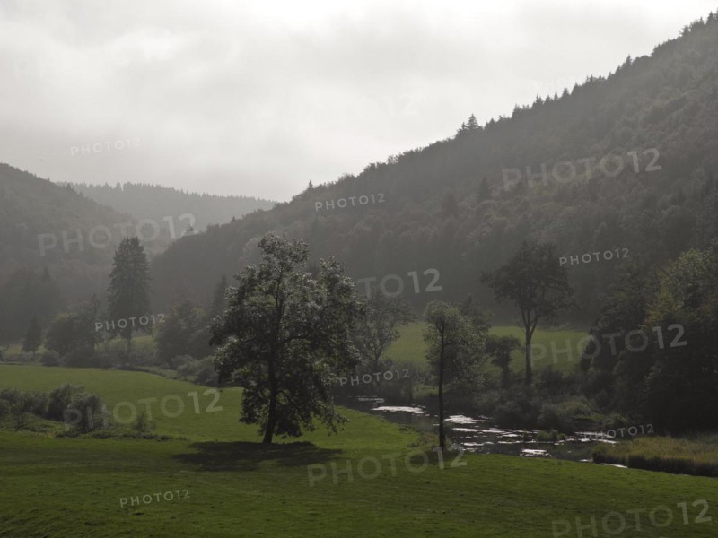 Valley of the Danube, Upper Danube nature park Park, Tuttlingen district, Baden-Wuerttemberg, Germany, Europe
