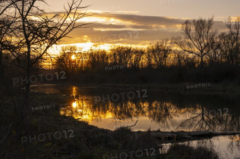 Evening mood, sun, water, Lower Austria