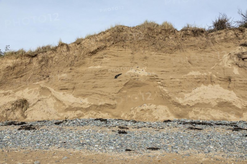 Break-off edge, stones, dunes, LLanddwyn Bay, Newborough, Isle of Anglesey, Wales, Great Britain