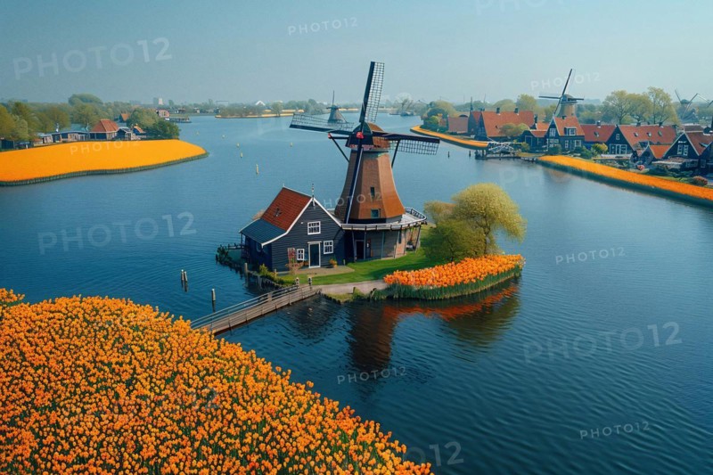 A unique aerial view of a windmill surrounded by tulip fields next to a river, AI generated