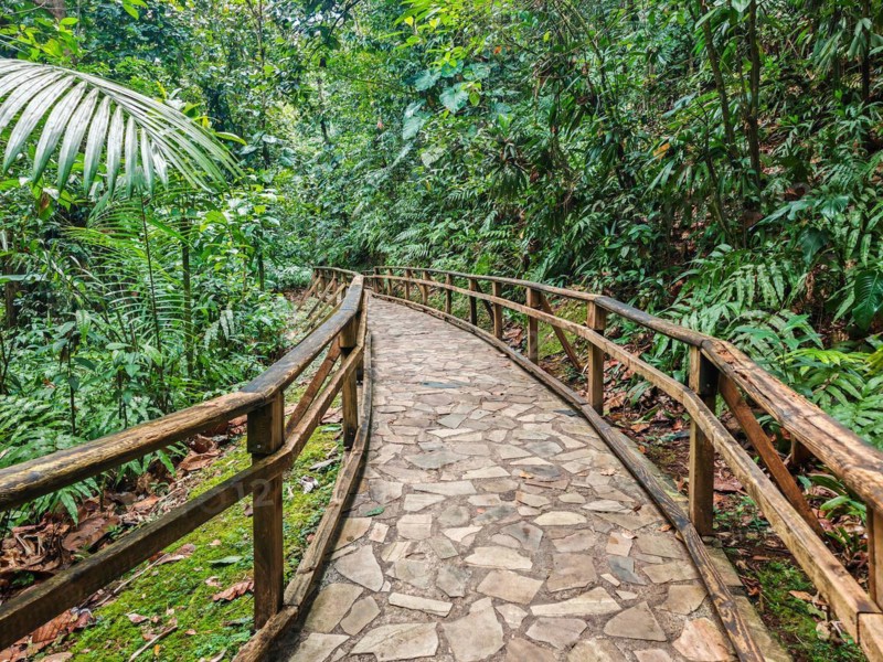 Jardin Botaniqu de Deshaies, botanical garden with flora and fauna in Guadeloupe, Caribbean, French Antilles