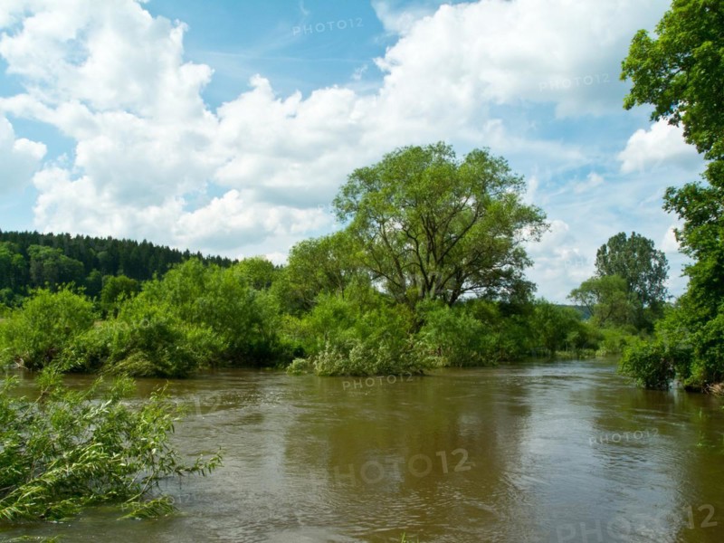 Ford of the Danube seepage point at high water level, Immendingen, Tuttlingen district, Baden-Wuerttemberg, Germany, Europe