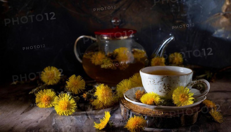 Atmospheric depiction of tea time with coltsfoot flowers, cup and teapot, coltsfoot tea, medicinal plant coltsfoot, Tussilago farfara, AI generated, AI generated