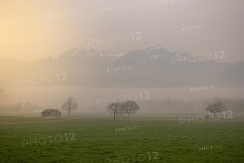 A landscape in the morning mist with a small hut and mountains in the background, Neubeuern, Germany, Europe