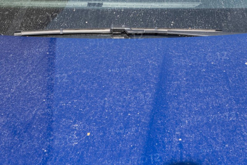 Sahara dust on a car, Braunschweig, Lower Saxony, Germany, Europe
