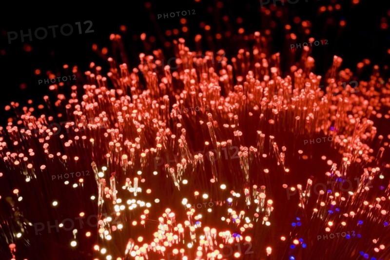 Close-up of red, white and blue lighted fibre optic cables, Studio Composition, Quebec, Canada, North America
