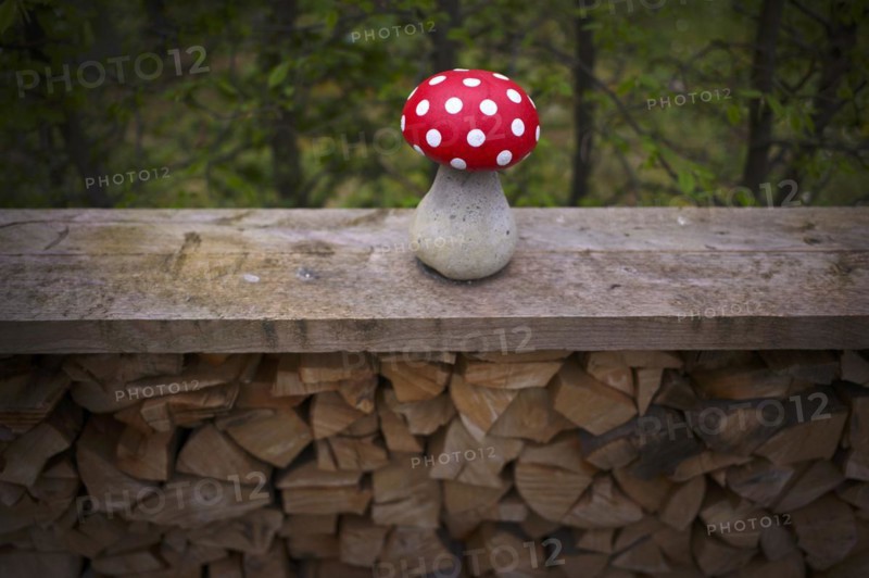 Fly agaric on a pile of wood, garden decoration, decoration, Stuttgart, Baden-Wuerttemberg, Germany, Europe