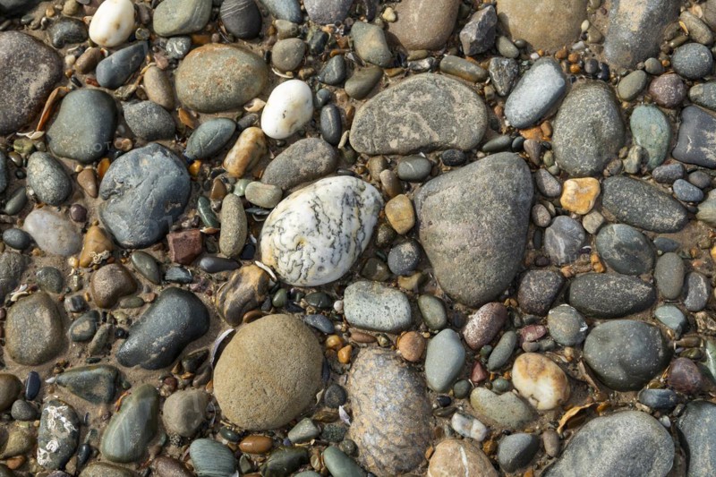 Stones, beach, LLanddwyn Bay, Newborough, Isle of Anglesey, Wales, Great Britain