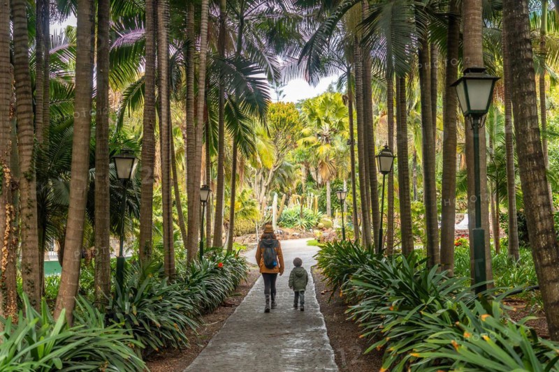 A mother with her son walking in a tropical botanical garden with many palm trees, family vacation concept in a beautiful landscape in spring