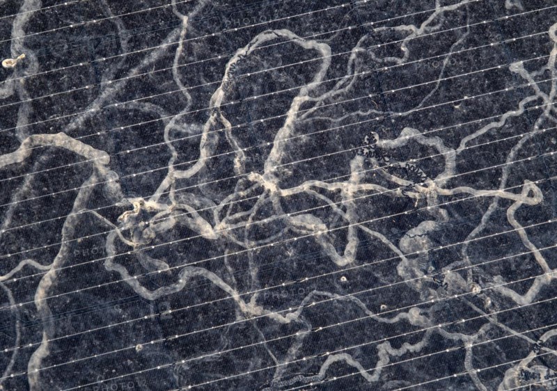Sahara dust on a solar module, solar panel, a balcony system on a green roof, Braunschweig, Lower Saxony, Germany, Europe
