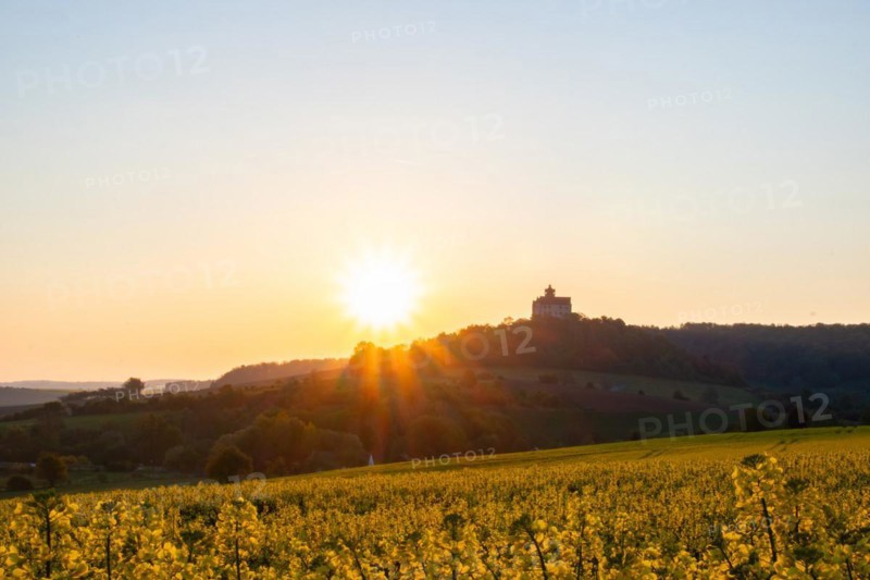 Landscape at sunrise. Beautiful morning landscape with fresh yellow rape fields in spring. Small castle in the yellow fields on a hill. Historic Ronneburg Castle in the middle of nature, Ronneburg, Hesse, Germany, Europe
