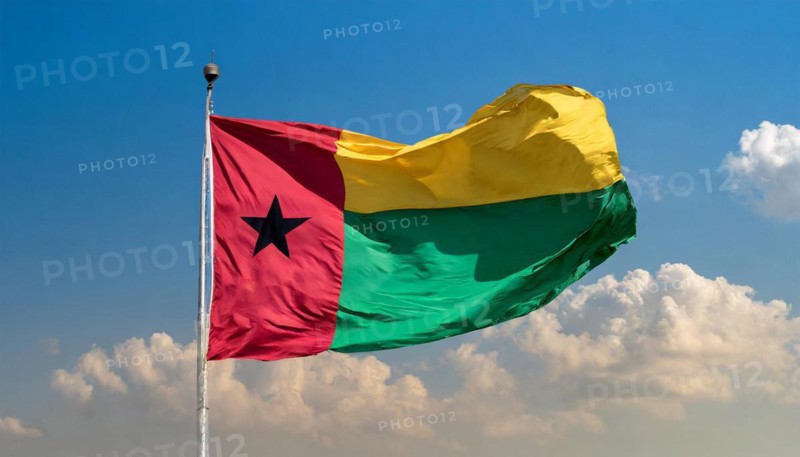 The flag of Guinea-Bissau, fluttering in the wind, isolated, against the blue sky