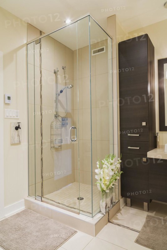 Contemporary brown laminated wood vanity and clear glass shower stall in bathroom inside a renovated ground floor apartment in an old residential cottage style home, Quebec, Canada. This image is property released. CUPR0311