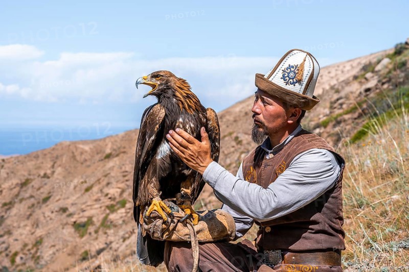 Traditional Kyrgyz eagle hunter with eagle in the mountains, hunting, near Bokonbayevo, Issyk Kul region, Kyrgyzstan, Asia