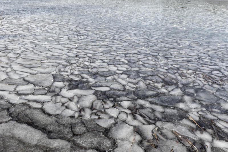 Winter, ice pattern formation, Chateauguay River, Province of Quebec, Canada, North America
