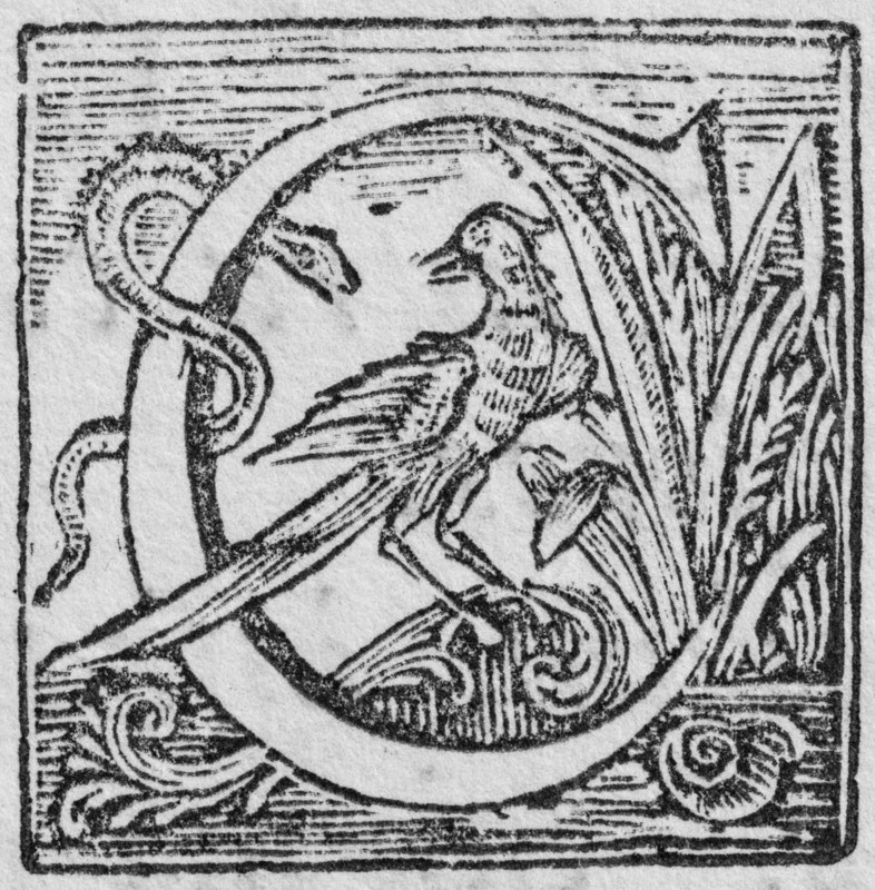Initial or an initial C, decorative initial letter, woodcut, Mark Catesby, Natural History of Carolina, Florida and the Bahama Islands, 1754