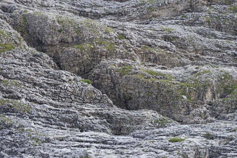 Gottesacker plateau, karst landscape, Kleinwalsertal, Vorarlberg, Allgaeu Alps, Austria, Europe