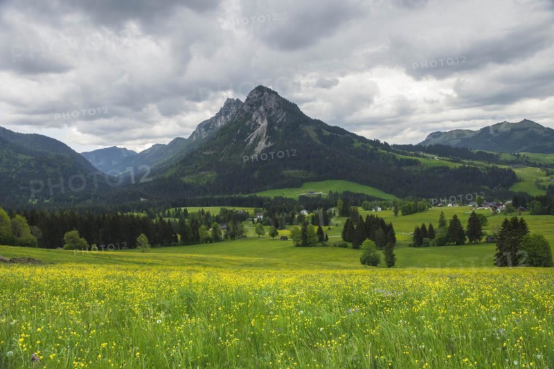 Summer austrian landscape with green meadows and impressive mountains, view from small alpine village Tauplitz, Styria region, Austria, Europe