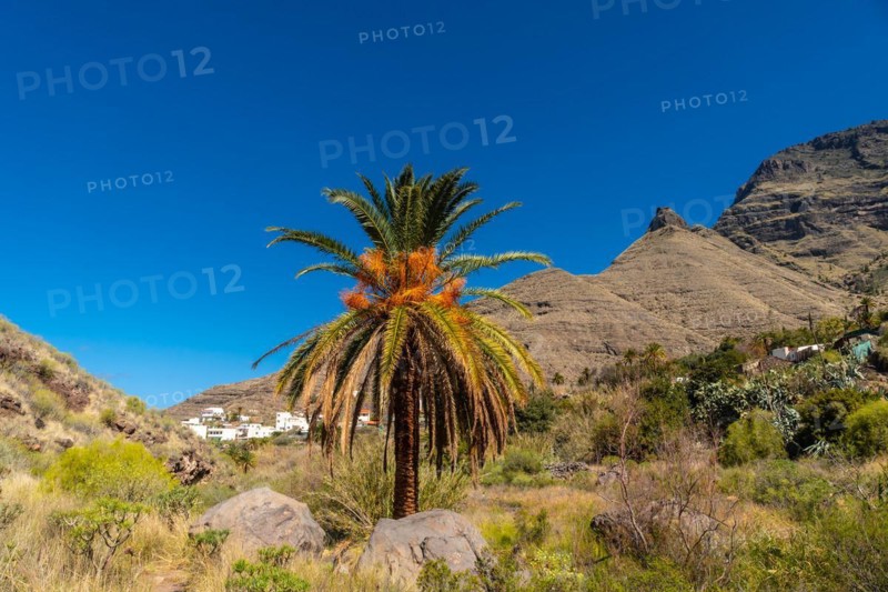 Path from El Risco on the way up to Charco Azul in El Podemos to Agaete in Gran Canaria, Canary Islands