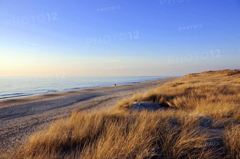 Beach 5 km south of Westerland, Sylt, North Frisian Island, Schleswig Holstein, Empty beach dunes at the sea under blue sky with warm afternoon light, Sylt, North Frisian Island, Schleswig Holstein, Germany, Europe