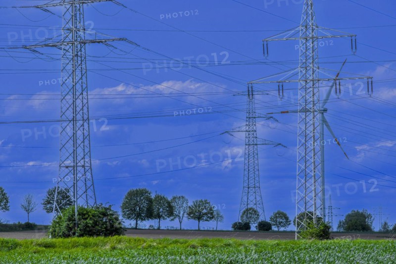 Power pylons with high-voltage lines on the K63 road with trees at the Avacon substation Helmstedt, Helmstedt, Lower Saxony, Germany, Europe