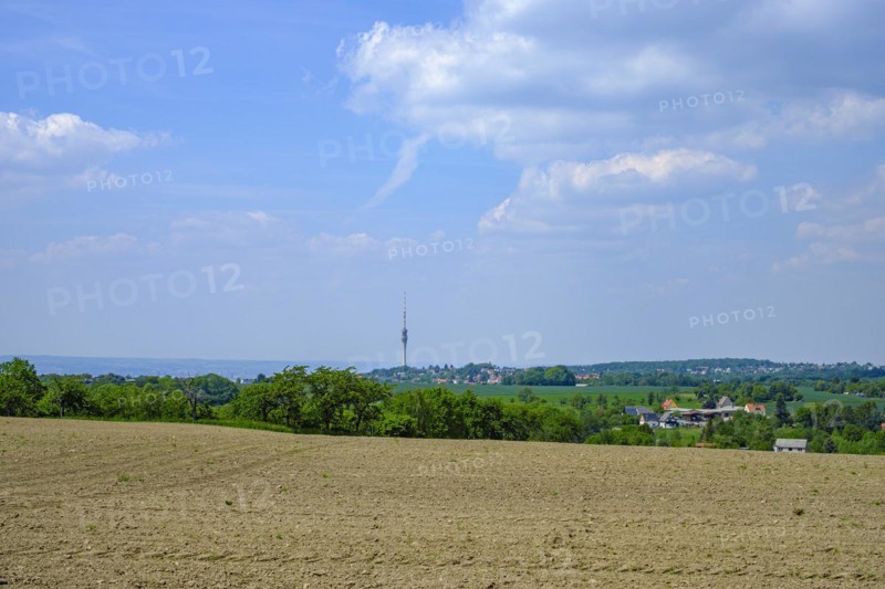 Uncultivated field on the Schoenfelder Hochland near Dresden, Saxony, Germany, in the background the Dresden television tower, Europe