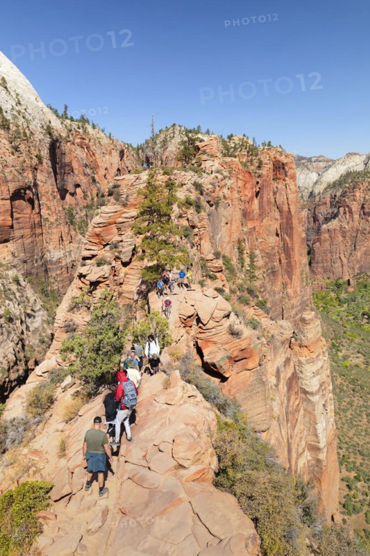 Descent from Angels Landing, Zion National Park, Colorado Plateau, Utah, USA, Zion National Park, Utah, USA, North America