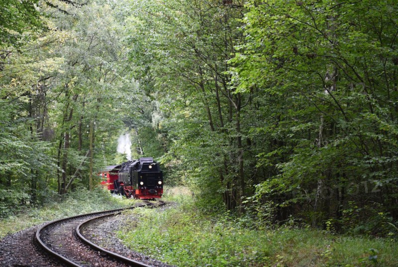 The Harz Narrow Gauge Railway, Brocken Railway, Selketal Railway in the Harz Mountains, Saxony-Anhalt, Germany, Europe