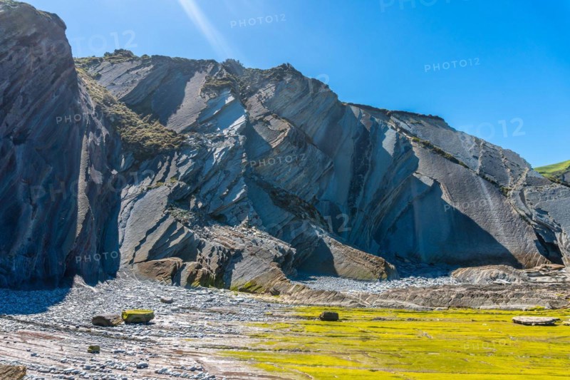 Flysch Basque Coast Geopark in Zumaia with low seas with marine vegetation, Gipuzkoa