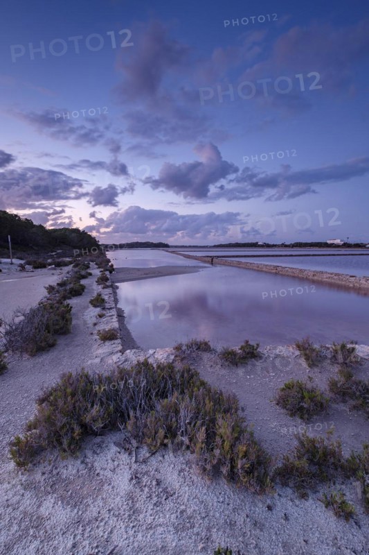 Parc Natural de Ses Salines d?Eivissa i Formentera, Formentera, Pitiusas Islands, Balearic Community, Spain, Europe