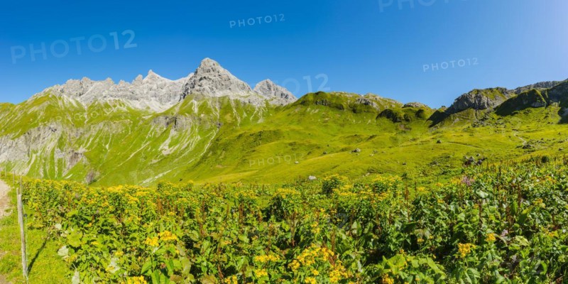 Panorama from the Kemptner Huette, 1844m, to the Muttlerkopf, 2368m, Allgaeu Alps, Allgaeu, Bavaria, Germany, Europe