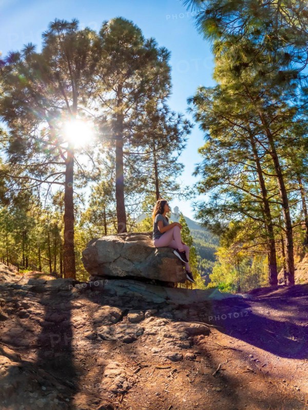 A woman sits on a rock in a forest. The sun is shining on her, creating a warm and peaceful atmosphere