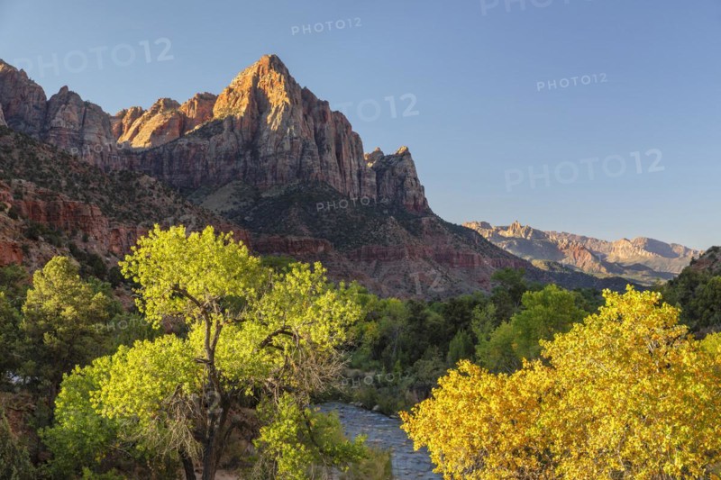 View from Virgin River to Watchman Mountain, Zion National Park, Colorado Plateau, Utah, USA, Zion National Park, Utah, USA, North America