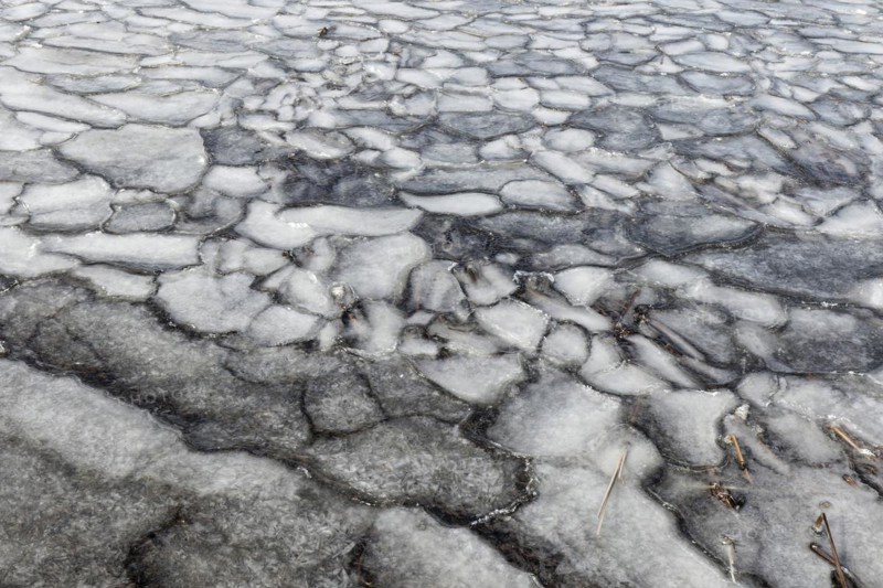 Winter, ice pattern formation, Chateauguay River, Province of Quebec, Canada, North America
