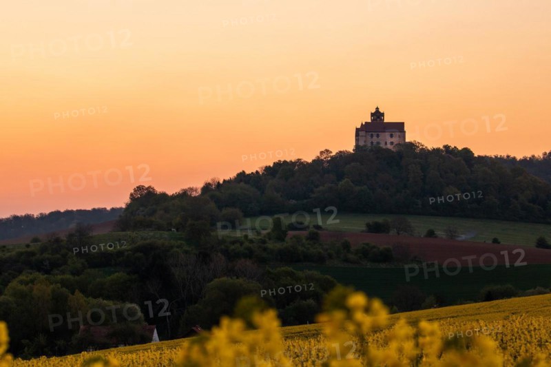 Landscape at sunrise. Beautiful morning landscape with fresh yellow rape fields in spring. Small castle in the yellow fields on a hill. Historic Ronneburg Castle in the middle of nature, Ronneburg, Hesse, Germany, Europe