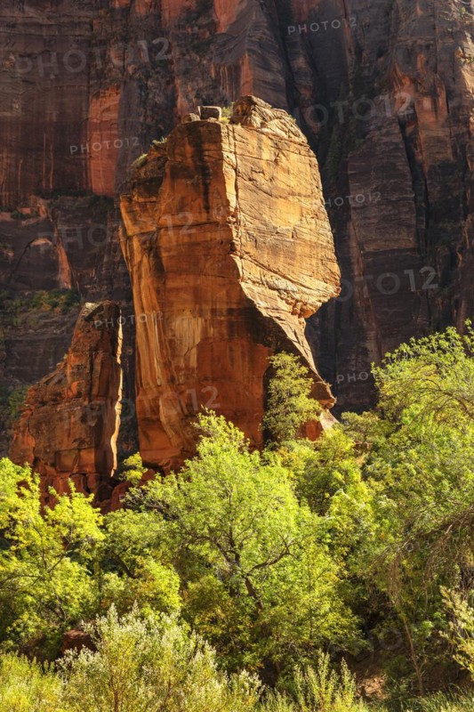 Rock needle at the Temple of Sinawava, Zion National Park, Colorado Plateau, Utah, USA, Zion National Park, Utah, USA, North America