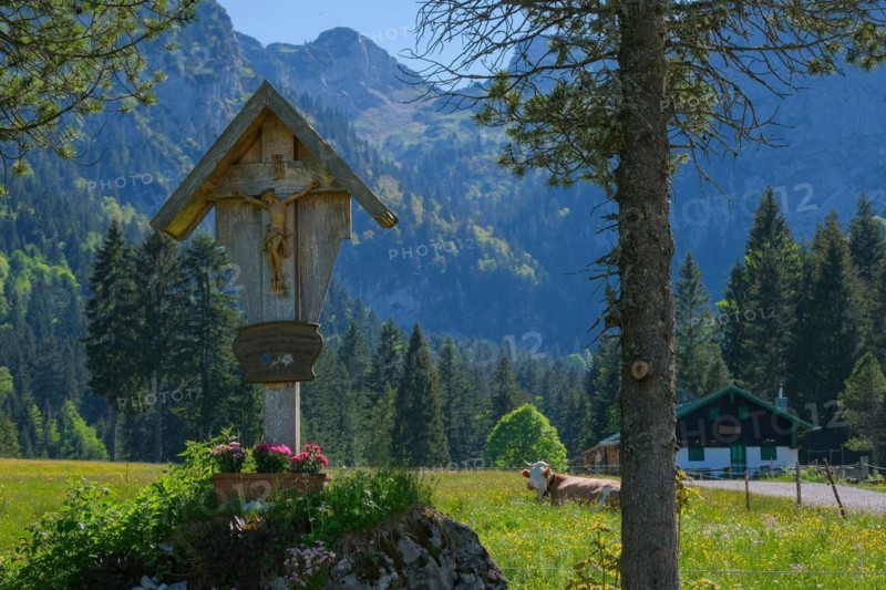 Wayside cross, crucifix, pasture, cow, mountains, alpine pasture, Bavarian Alps, Arzbach, Bavaria, Germany, Europe