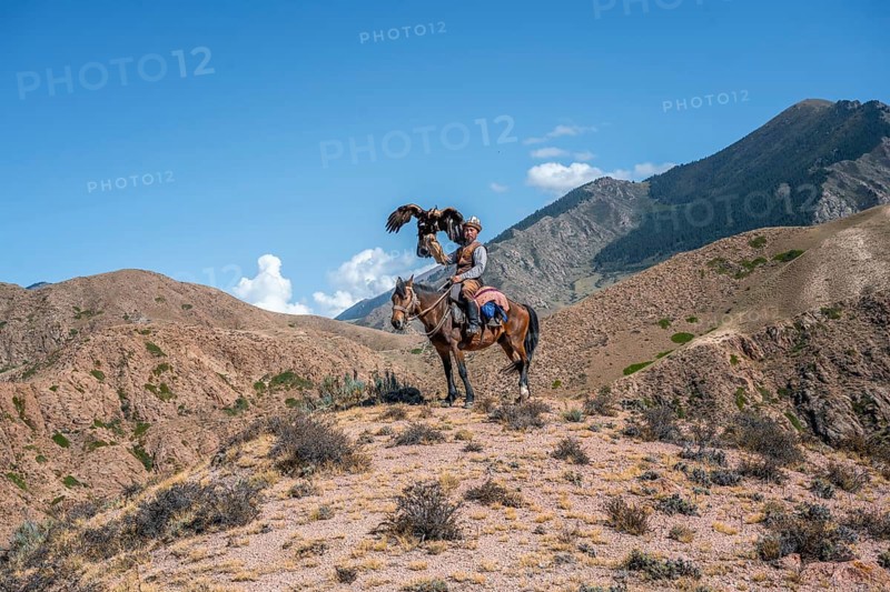 Traditional Kyrgyz eagle hunter riding with eagle in the mountains, eagle spreading its wings, hunting on horseback, near Bokonbayevo, Issyk Kul region, Kyrgyzstan, Asia