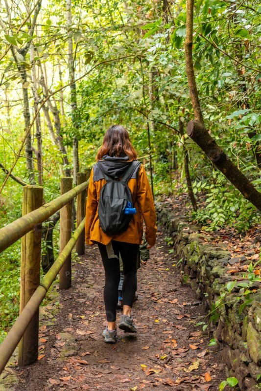 A woman is walking down a path in the woods, wearing a yellow jacket and carrying a backpack
