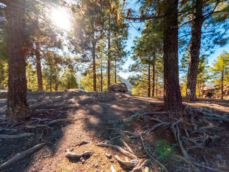 Landscape on the trails up to Roque Nublo in Gran Canaria, Canary Islands
